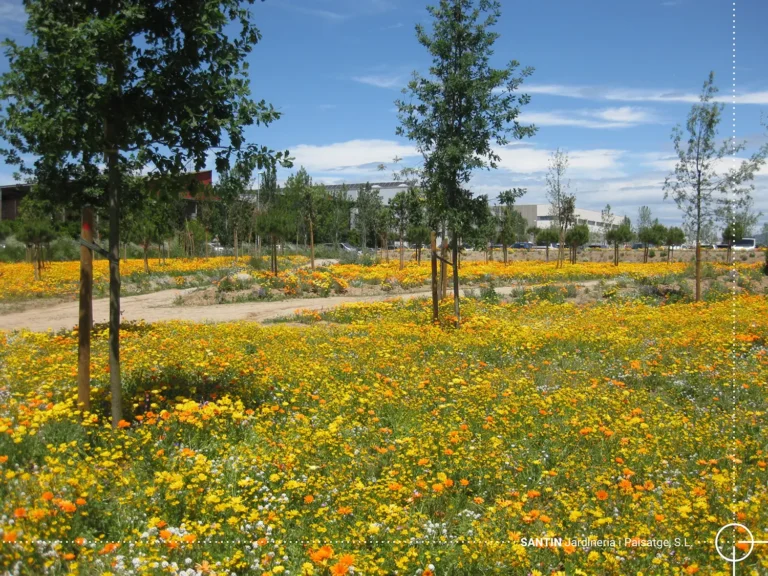 Parc dels Horts (Granollers)