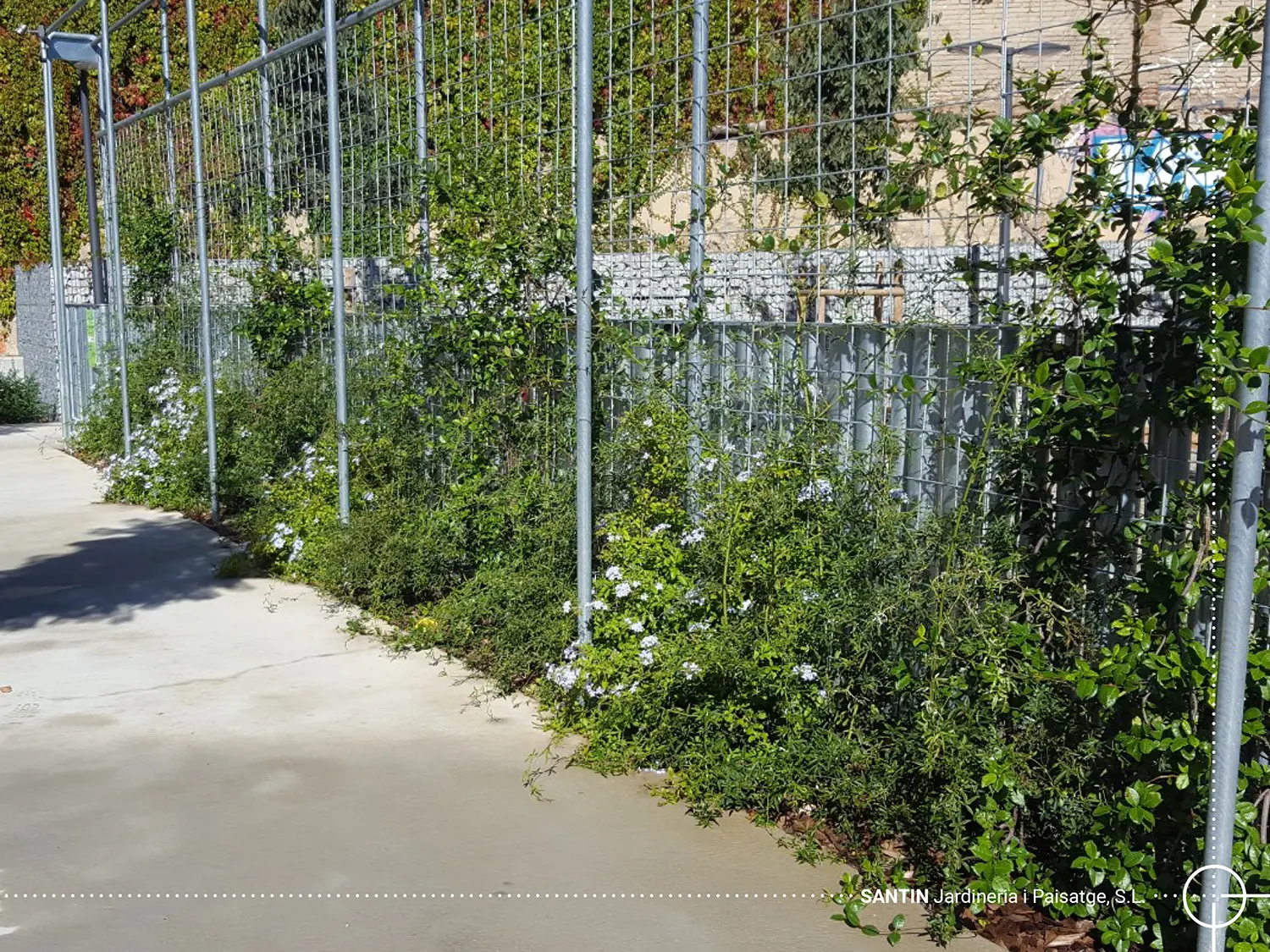 OHL, Menédes Pelayo + Maignon '19_12