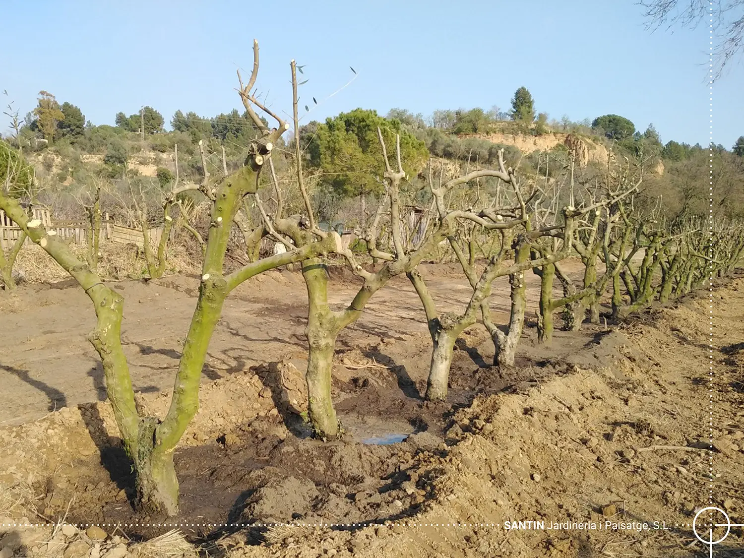 VIALSER, Licorelles '20-22_03
